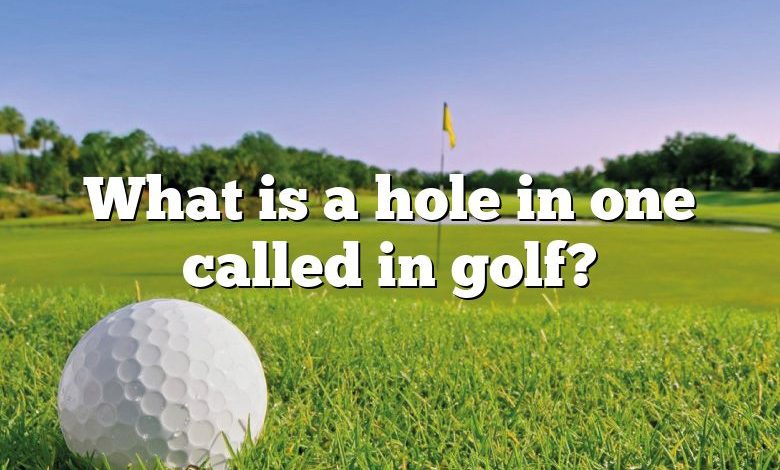 What is a hole in one called in golf?