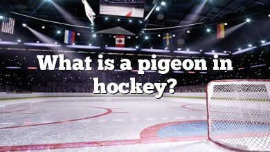 What is a pigeon in hockey?