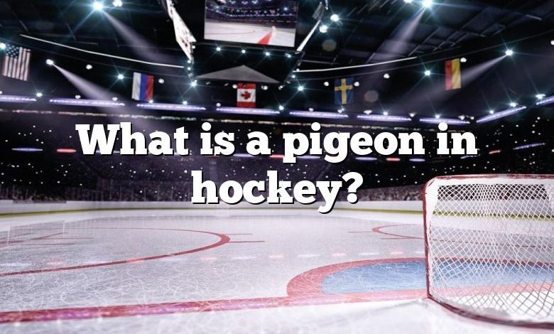 What is a pigeon in hockey?