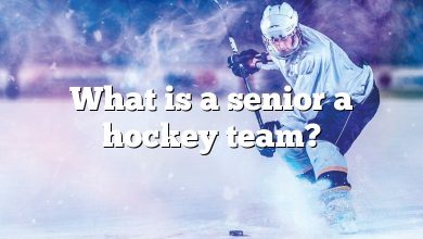 What is a senior a hockey team?