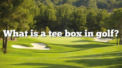 What is a tee box in golf?