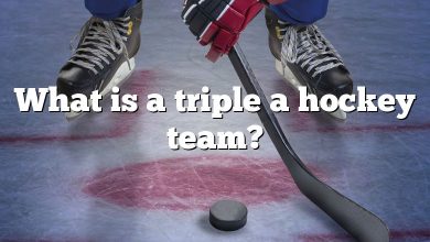 What is a triple a hockey team?