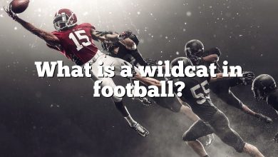 What is a wildcat in football?