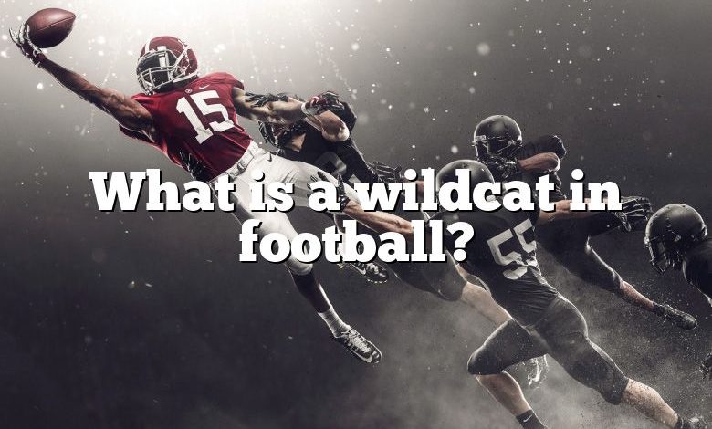 What is a wildcat in football?
