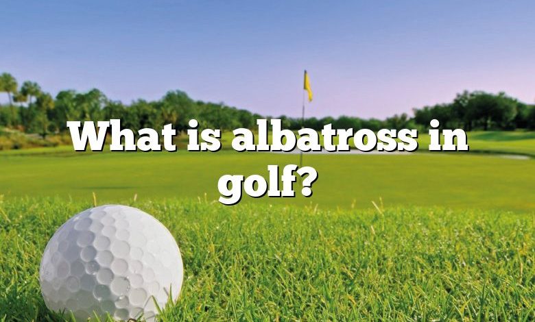 What is albatross in golf?