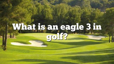 What is an eagle 3 in golf?