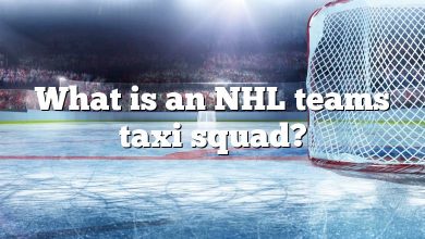 What is an NHL teams taxi squad?
