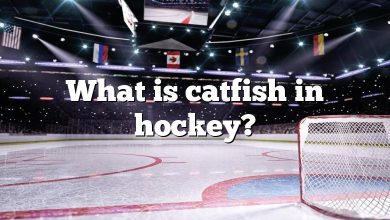 What is catfish in hockey?