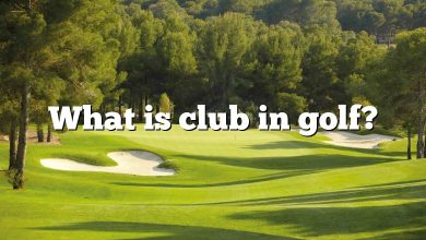 What is club in golf?