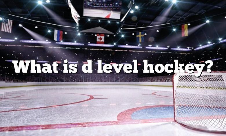 What is d level hockey?