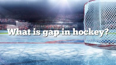 What is gap in hockey?