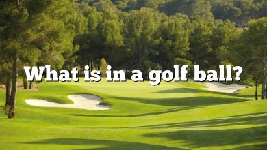 What is in a golf ball?