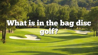 What is in the bag disc golf?