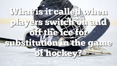 What is it called when players switch on and off the ice for substitution in the game of hockey?