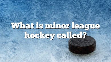 What is minor league hockey called?