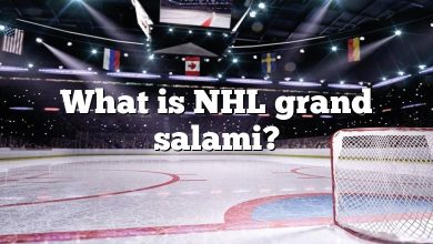 What is NHL grand salami?