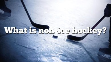 What is non-ice hockey?