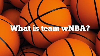 What is team wNBA?