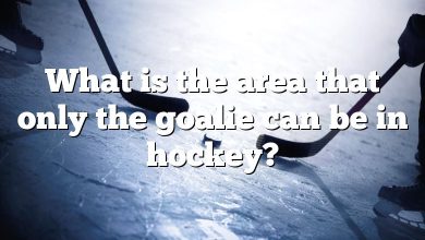 What is the area that only the goalie can be in hockey?