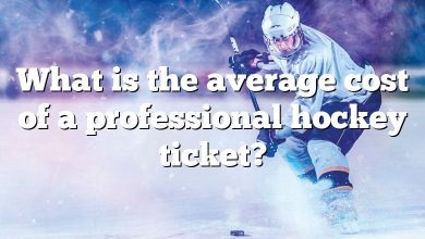 What is the average cost of a professional hockey ticket?