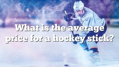 What is the average price for a hockey stick?