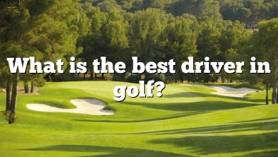 What is the best driver in golf?