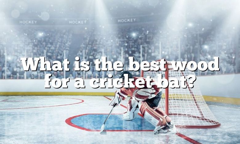 What is the best wood for a cricket bat?