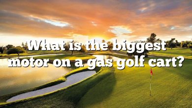 What is the biggest motor on a gas golf cart?