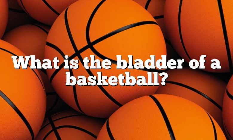 What is the bladder of a basketball?