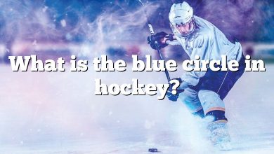 What is the blue circle in hockey?