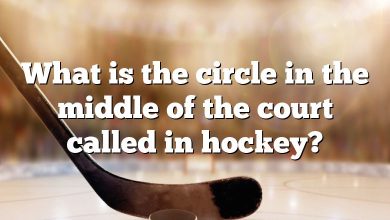 What is the circle in the middle of the court called in hockey?