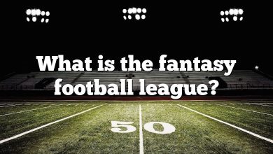 What is the fantasy football league?