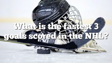 What is the fastest 3 goals scored in the NHL?