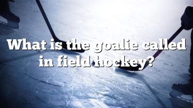 What is the goalie called in field hockey?