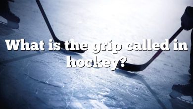 What is the grip called in hockey?