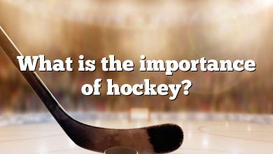 What is the importance of hockey?