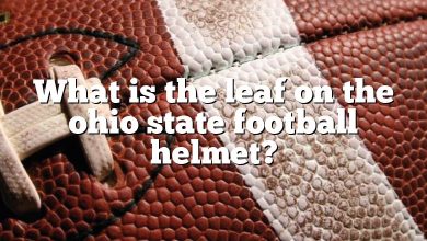 What is the leaf on the ohio state football helmet?