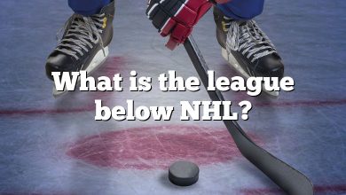 What is the league below NHL?