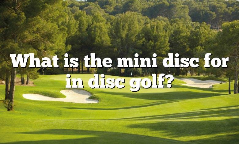 What is the mini disc for in disc golf?