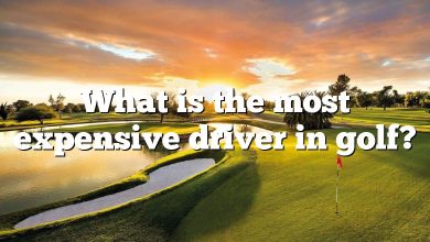 What is the most expensive driver in golf?