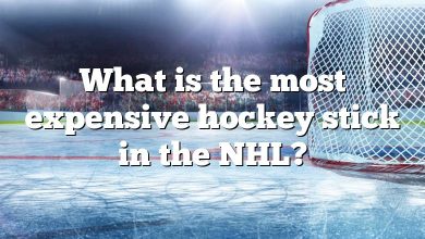 What is the most expensive hockey stick in the NHL?