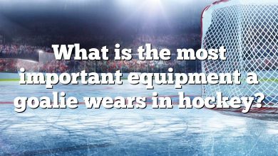 What is the most important equipment a goalie wears in hockey?