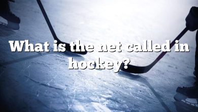 What is the net called in hockey?