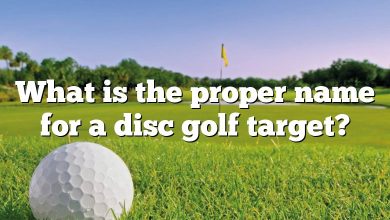 What is the proper name for a disc golf target?