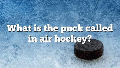 What is the puck called in air hockey?