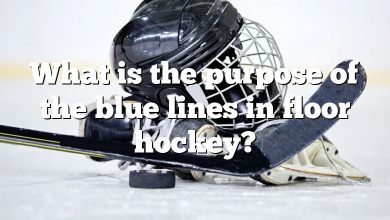 What is the purpose of the blue lines in floor hockey?