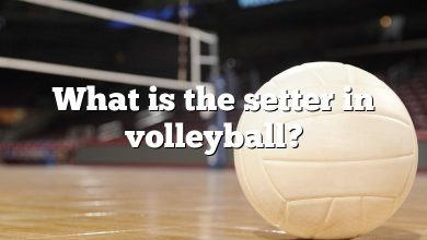What is the setter in volleyball?