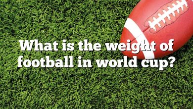 What is the weight of football in world cup?