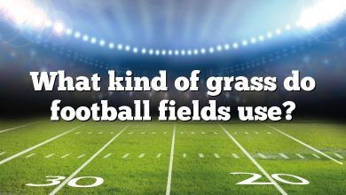 What kind of grass do football fields use?