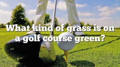 What kind of grass is on a golf course green?